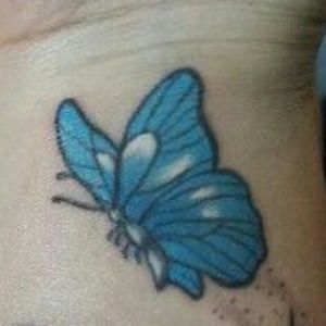 Meet your Posher, Lensey